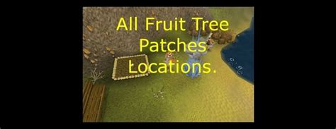 fruit tree patches osrs|osrs farming guild fruit tree.